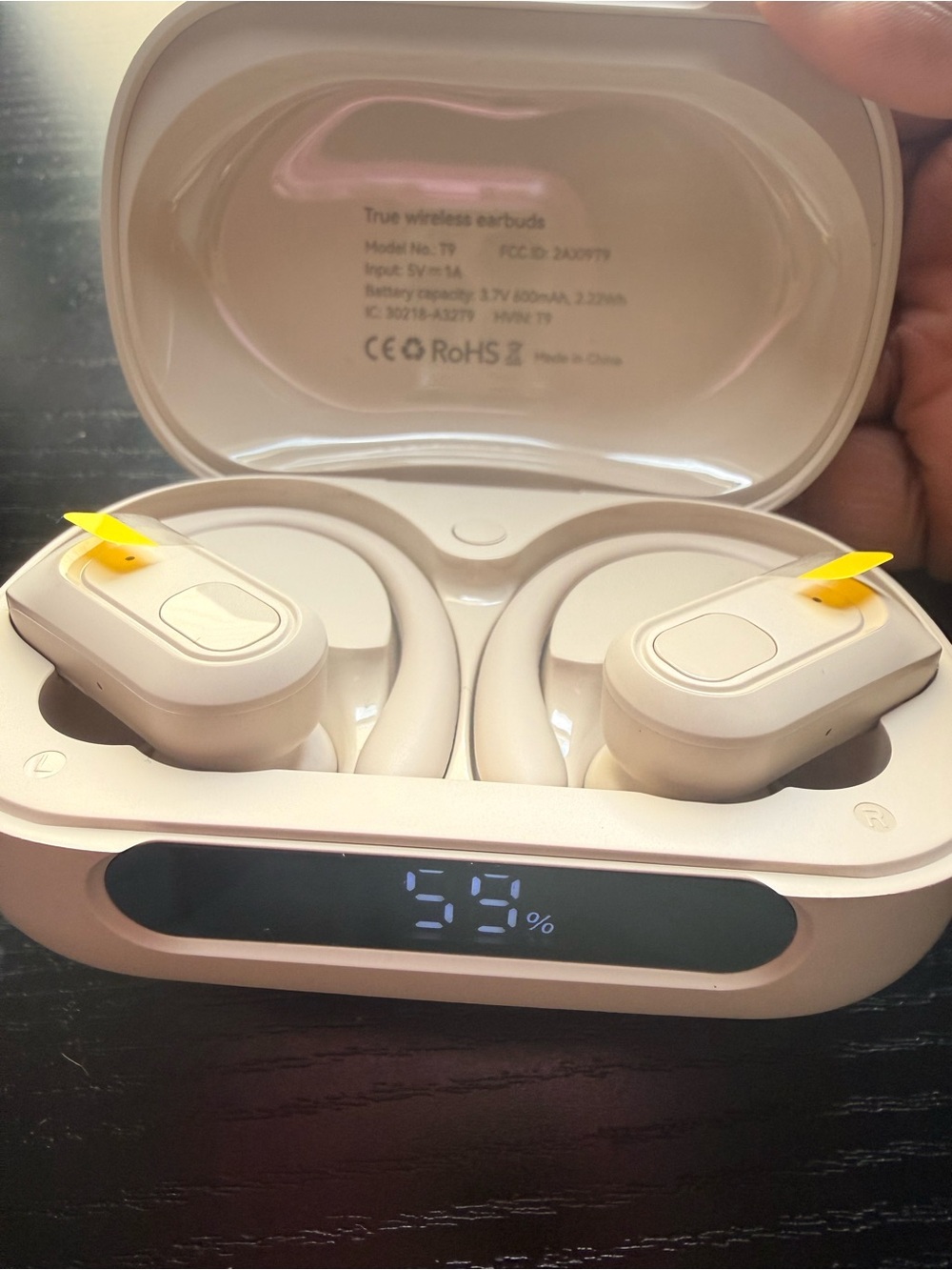 True Wireless Earbuds in Light Beige with Charging Case